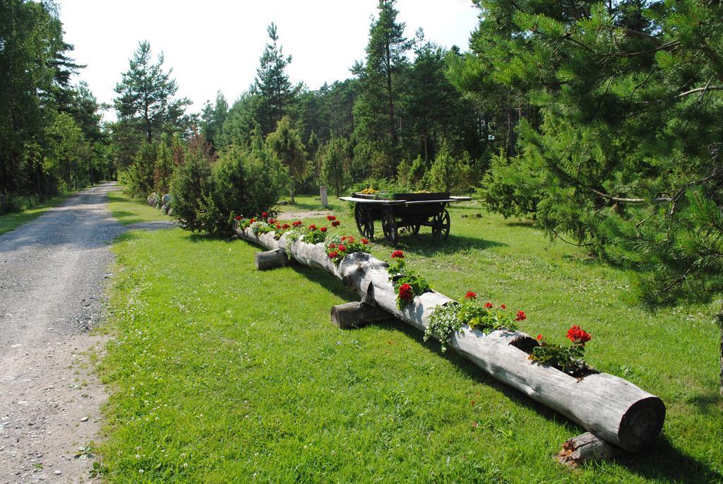 Kuivastujaani Hotel Szoba fotó